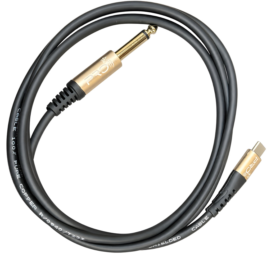 PRO1ST Professional USB Type-C to 6.35mm (1/4") TS Mono Jack Audio Cable