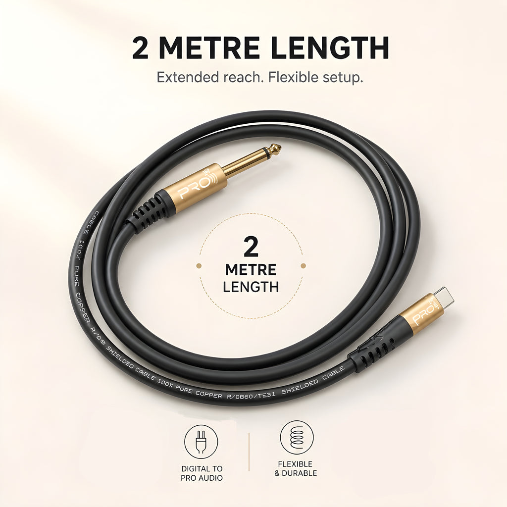 PRO1ST Professional USB Type-C to 6.35mm (1/4") TS Mono Jack Audio Cable