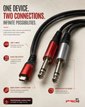 Pro 1st Type-C 2P/38 Dual 6.35mm (1/4") Jack to USB Type-C Professional Audio Cable — 2.0 Mtr